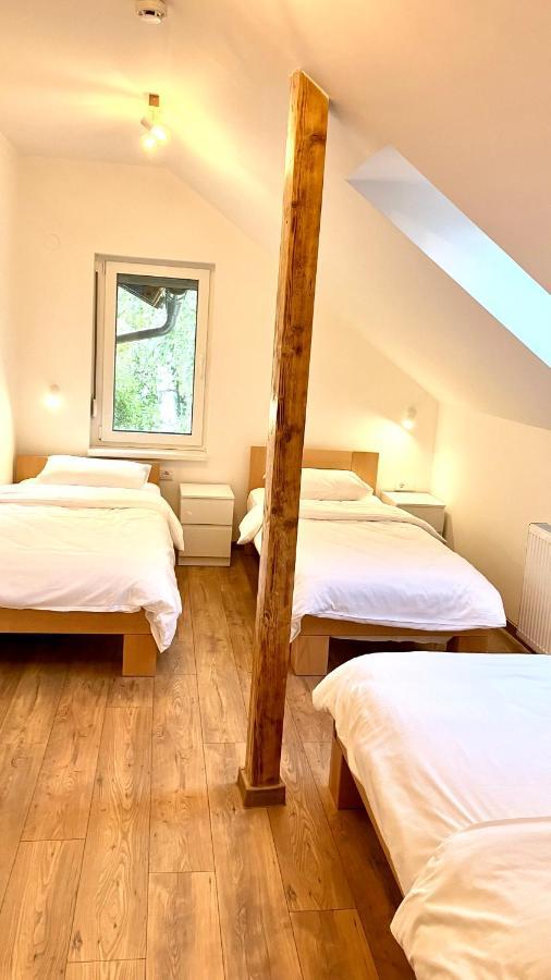 نوفي ساد Petlov Salas Rooms المظهر الخارجي الصورة